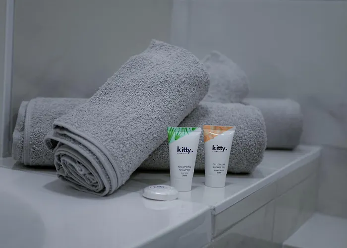 Le Bazacle - Sublime En Hypercentre トゥールーズ